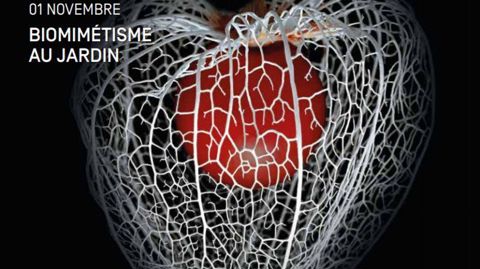 Pour les créateurs de l’édition 2021, la nature, aussi bien la faune que la flore, n’est pas seulement une ressource ou une contrainte, mais également une véritable source d’inspiration. ©Domaine de Chaumont-sur-Loire